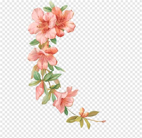 Ilustração de flores flores cor de rosa png PNGEgg