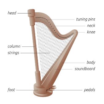 The Harp: History & Explanation | Study.com