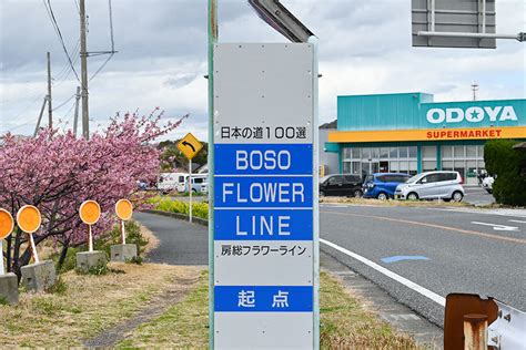 房総フラワーライン 南房総 花海街道