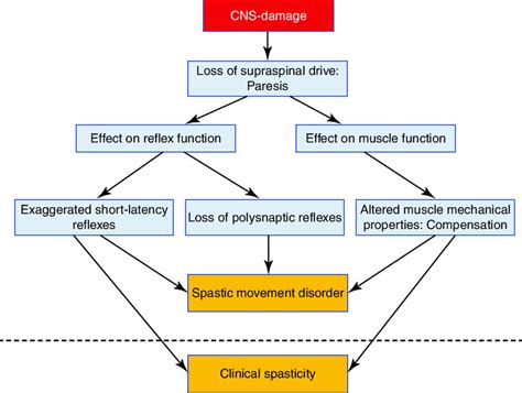 1 Physiological mechanisms underlying the syndrome of spastic paresis ...