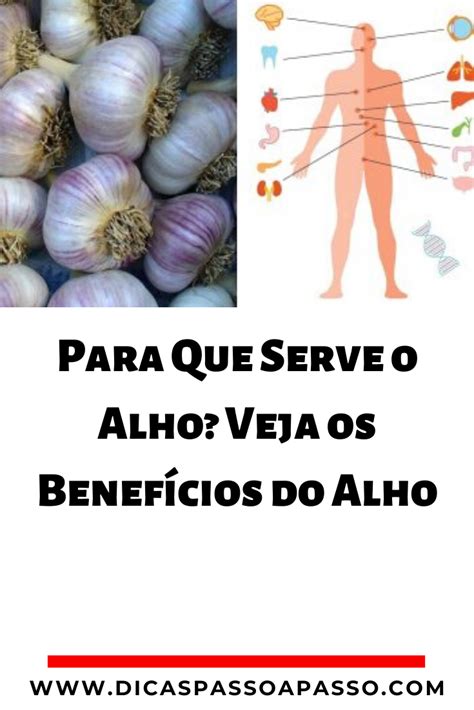 Para Que Serve O Alho Veja Os Benef Cios Do Alho Imagens