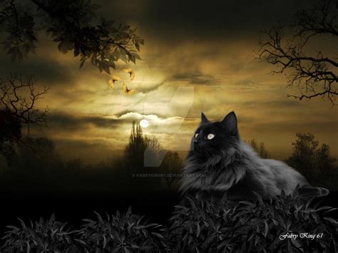 Black Cat In The Dark By Fabryking61 On Deviantart