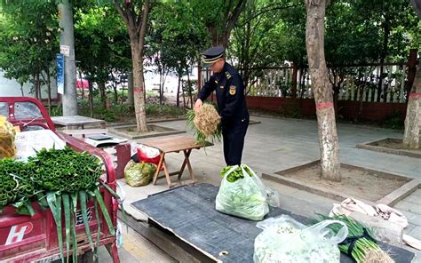 许昌市东城区：规范早市经营秩序 方便百姓“菜篮子”