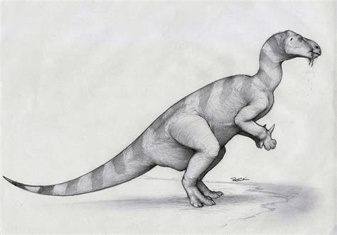 Iguanodon By Robthedoodler On Deviantart