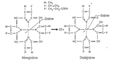 D Couvrir Imagen H Moglobine Formule Chimique Fr Thptnganamst Edu Vn