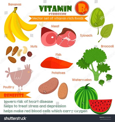 Vitamins Minerals Foods Illustrator Set 10vector Stock Vector Royalty