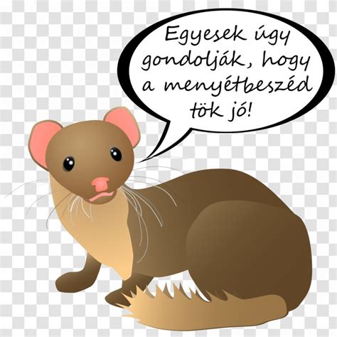 Weasel Word Weasels Phrase Information Snout Transparent Png