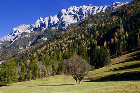 Banco De Imagens Panorama árvore Natureza Floresta Região