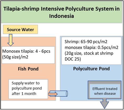 Example Of An Integrated Intensive Tilapiashrimp Polyculture System