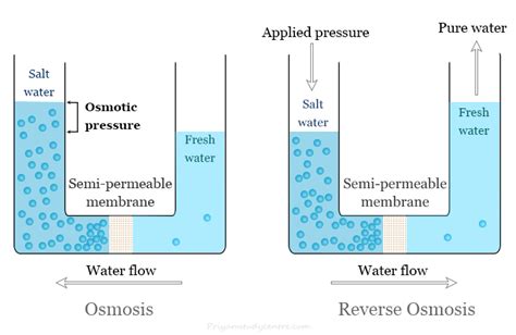 Reverse Osmosis Diagram Reverse Osmosis System Installation