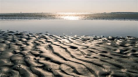 Welterbe Wattenmeer Im Takt Der Gezeiten NDR De Ratgeber Reise