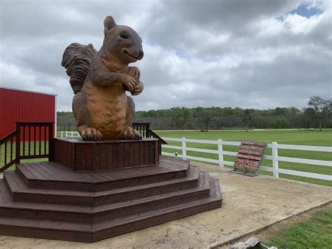 Best Fat Fuck Images On Pholder Fatsquirrelhate Centaur Girls And Fat Pussy Lovers