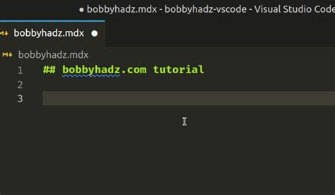 How To Generate Lorem Ipsum In Visual Studio Code Bobbyhadz