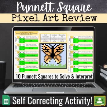 Punnett Square Genetics Digital Activity Pixel Art Review Tpt