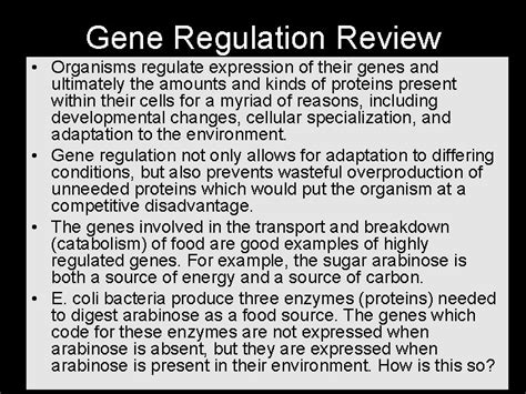 Bacterial Transformation Of P Glo Lab Background Gene