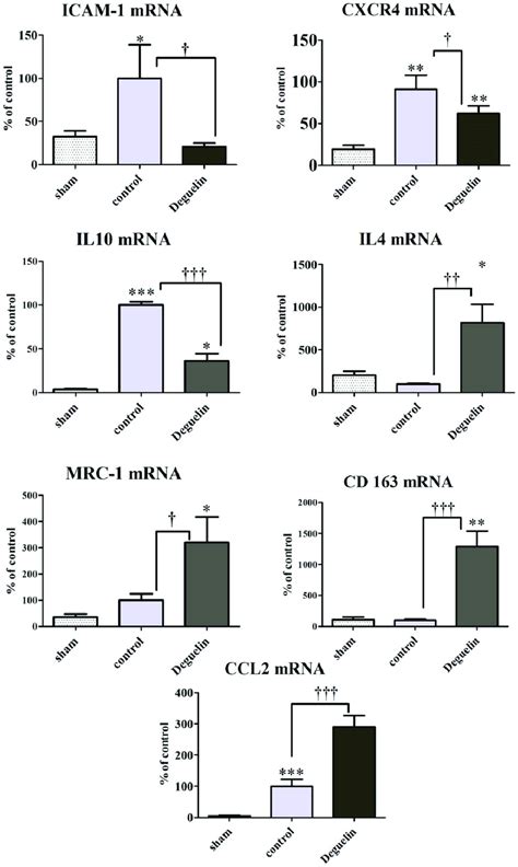 Hypoxia And Reperfusion Induce Inflammatory Gene Expression 48 Hours