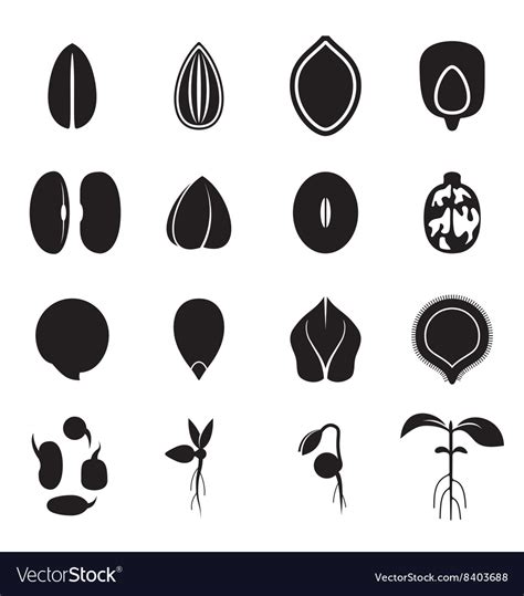 Seed Icon Set Royalty Free Vector Image Vectorstock