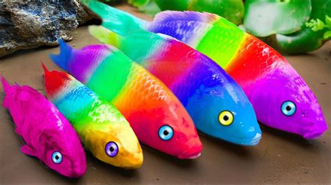 Colorful Eel Rainbow Koi Fish Diy Satisfying Magnet Balls Stop