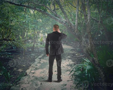 Lost in the forest 20558009 Stock Photo at Vecteezy