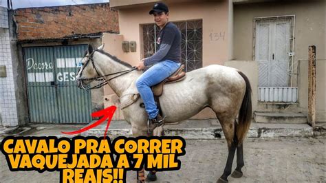 Feira De Cavalo Em Bezerros Pe S Bado Youtube