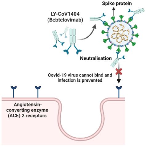 Antibiotics Free Full Text An Overview Of Repurposed Drugs For