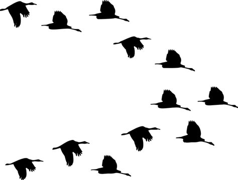 Flying Goose Silhouette at GetDrawings | Free download