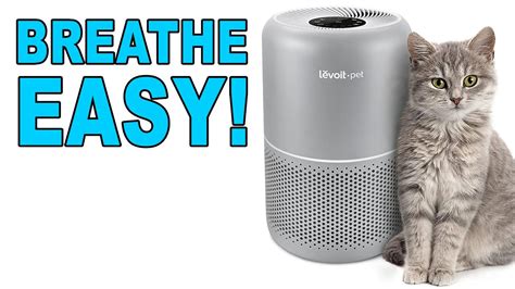 Levoit Core P Pet Air Purifier Review Dust Pollen Too Youtube