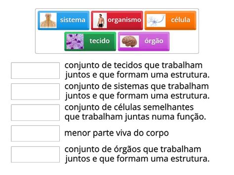 O Que É Respectivas - Indique os conceitos e suas respectivas explicações - Match up