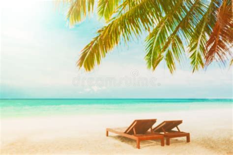 Blurred Beach Background With Beach Chairs Under Coconut Tree Stock