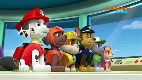 Paw Patrol La Pat Patrouille Compilation Canine Nickelodeon