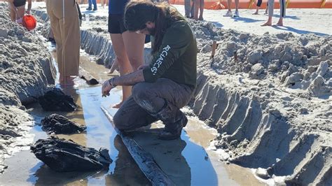 Mysterious Object Is Unearthed By Storms And Erosion In Florida The