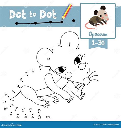 Dot To Dot Educational Game And Coloring Book Opossum Animal Cartoon