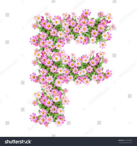 Letter F Alphabet Zinnia Flower Abc Stock Photo 279994382 Shutterstock