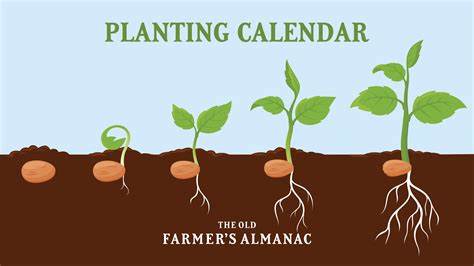 Planting Calendar By Zip Code The Old Farmer S Almanac Almanac