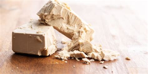 World Bio Market Insights Engineered yeast could boost biofuel production 