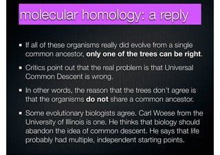 Molecular homology | PPT