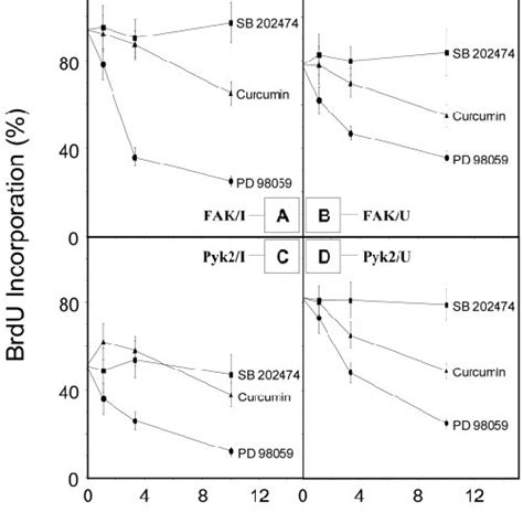 Effects Of Inhibitors For Mek Or Jnk On Cell Cycle Progression By Fak Download Scientific