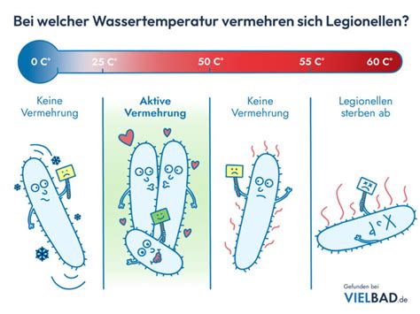 Legionellen Im Trinkwasser Vermeiden Beseitigen