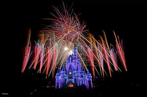 Disney | Disney world fireworks, Disney contemporary resort, Disney ...