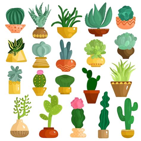 Conjunto De Suculentas De Cactus En Macetas Vector Gratis