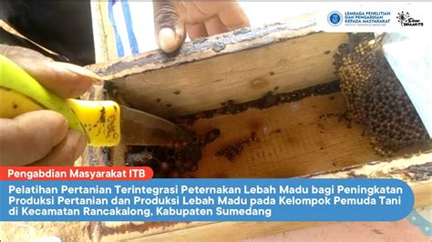 Pelatihan Peternakan Lebah Madu Bagi Peningkatan Produksi Pertanian Dan