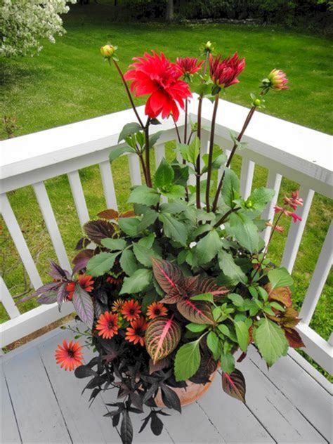 Outstanding 25 Gorgeous Full Sun Container Plants Ideas To Make Up Your Garden