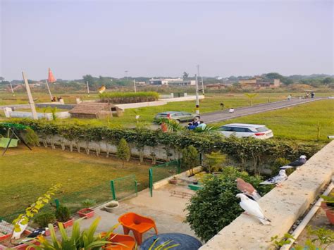 Sq Yards Residential Plot For Sale In Yamuna Expressway Greater