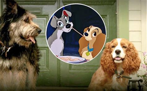 Disney Divulga Fotos De Cachorros Que Far O Live Action De A Dama E O