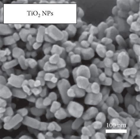 Characterization Of Tio And Ta Nps A B Scanning Electron