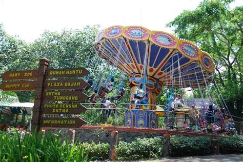 Taman Safari Prigen Harga Tiket Wahana Lokasi And Daftar Hewannya