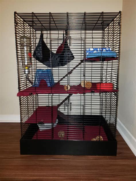 My Very First Rat Cage Setup The Cage Is A Me You Rat Manor I Hope