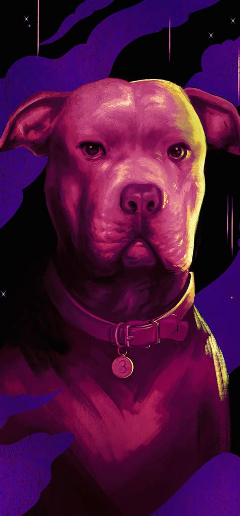 1242x2668 Dog In John Wick Chapter 3 Parabellum 4k Iphone XS MAX ,HD 4k Wallpapers,Images ...