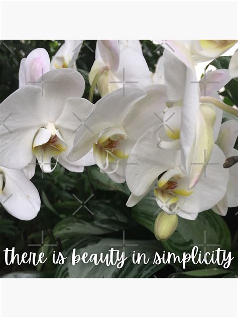 There Is Beauty In Simplicity White Orchids Flowers Blossoms