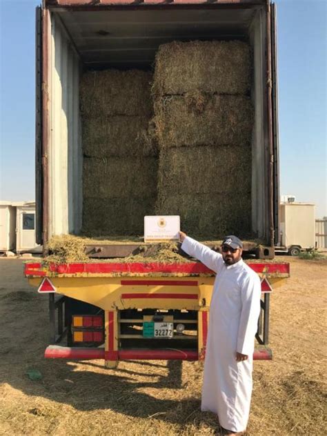 Ansl Lleg A Qatar La Primera Carga De Alfalfa Enviada Por El